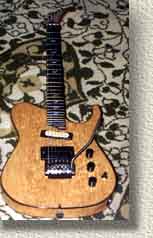 Baldin guitar